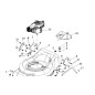 73221 - ORIGINAL AMA PLATE LIFT SPRING
