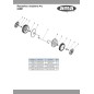 73848 - RODAMIENTO DE RUEDA AMA ORIGINAL PARA 75550/75560