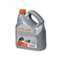 Huile protectrice biologique ORIGINAL OLEOMAC pour guide-chaîne et chaîne de tronçonneuse, bidon de 5 L