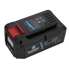 Batteria al litio BLUEBIRD 50.4V - 5Ah con display LCD 888300 | NewgardenParts.com