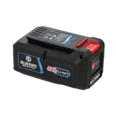 Batterie au lithium BLUEBIRD 50,4 V - 5 Ah sans écran LCD 888310 | NewgardenParts.com