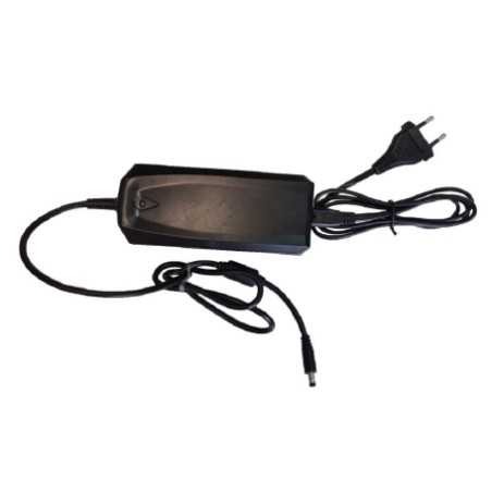 Cargador de baterías BLUEBIRD ESTÁNDAR de 50,4 V para máquinas alimentadas por batería 452030 | NewgardenParts.com