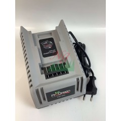 Chargeur de batterie PGC4002 40 V 80 W pour tondeuse à gazon sans fil PROGREEN PGL460SLI 048697 | NewgardenParts.com