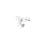 ORIGINAL ECHO ECRA409000020 SCHWUNGRAD