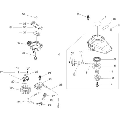 ORIGINAL ECHO ECRA409000160 FLYWHEEL | NewgardenParts.com