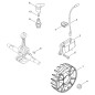 ORIGINAL ECHO ECRA409000390 SCHWUNGRAD