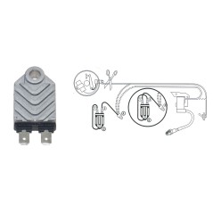 Steuergerät B&S Magnetron SIG 08Y 007597 | NewgardenParts.com