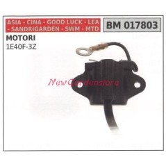 Control unit CINA lawn mower mower 1E40F-3Z 017803 | NewgardenParts.com