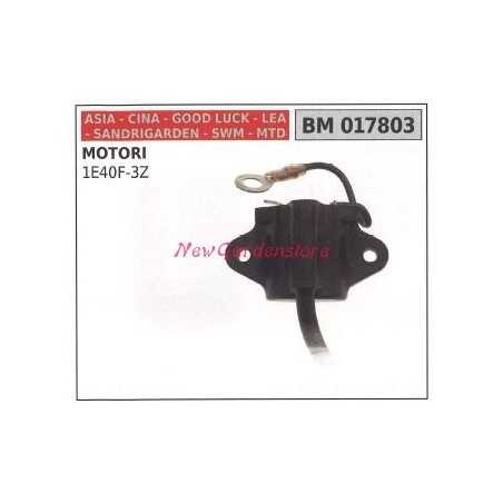 Control unit CINA lawn mower mower 1E40F-3Z 017803 | NewgardenParts.com