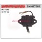 Control unit CINA lawn mower mower 1E40F-3Z 017803