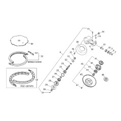 ORIGINAL ECHO ECRC536000030 HEAD PROTECTION | NewgardenParts.com