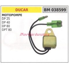 Centralina DUCAR motopompa DP 25 40 80 DPT 80 038599 | NewgardenParts.com