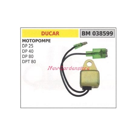 Centralina DUCAR motopompa DP 25 40 80 DPT 80 038599 | NewgardenParts.com