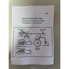 Unité de contrôle électronique module de modification de l'allumage du moteur débroussailleuse tronçonneuse | NewgardenParts.com