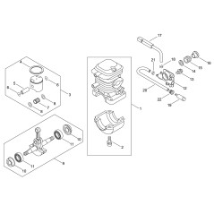 ZYLINDER X CS420ES *T.I.09-436 ECRP021017360 ORIGINAL ECHO | NewgardenParts.com