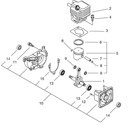 CARTER MOTORE ECRP021041670 ORIGINALE ECHO | NewgardenParts.com