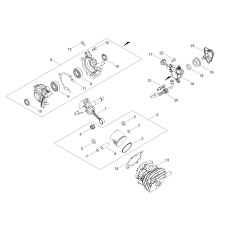 CÁRTER | NewgardenParts.com