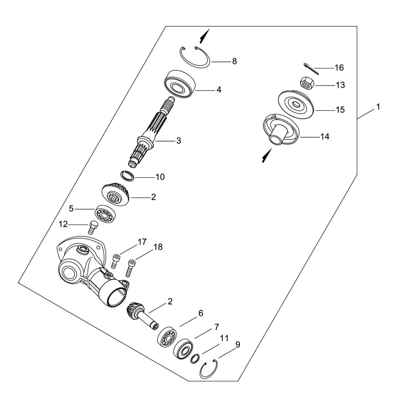 ECHO KOMPLETTES GETRIEBE ECRP021051361 ORIGINAL