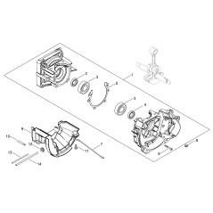 CARTER MOTORE COMPL. ECRP100002630 ORIGINALE ECHO | NewgardenParts.com