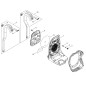 CINGHIA X PB8010 (DX) ECRP100008041 ORIGINALE ECHO