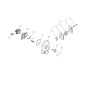 ORIGINAL ECHO LABEL ECRX503006900