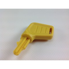 Security key for starter box for BRIGGS & STRATTON engine | NewgardenParts.com