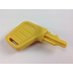Security key for starter box for BRIGGS & STRATTON engine | NewgardenParts.com