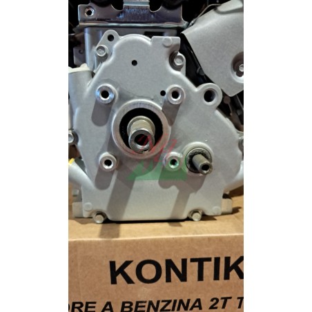 Complete 4-STROKE engine BRIGGS & STRATTON 800 twin-shaft heavy duty flywheel 5.5HP