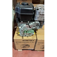 Moteur 4 temps complet BRIGGS & STRATTON 800 double arbre volant lourd 5.5HP | NewgardenParts.com