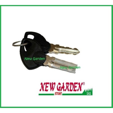 Chiave per quadro avviamento 310331 GGP 310378 118210022/0 | NewgardenParts.com