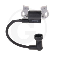 ORIGINAL LONCIN LC2P73F engine ignition coil 270920453-002 | NewgardenParts.com