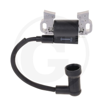 ORIGINAL LONCIN LC2P73F engine ignition coil 270920453-002 | NewgardenParts.com
