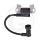 ORIGINAL LONCIN LC2P73F engine ignition coil 270920453-002