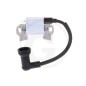 ORIGINAL LONCIN LC2P73F engine ignition coil 270920452-0001