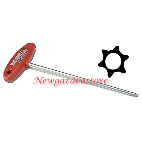 Chiave smontaggio maschio profilo Torx impugnatura T 550734 misura T15 | NewgardenParts.com