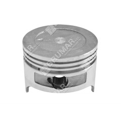 Lawnmower engine plunger GT 02 Ø 60mm DAYE 022880 | NewgardenParts.com