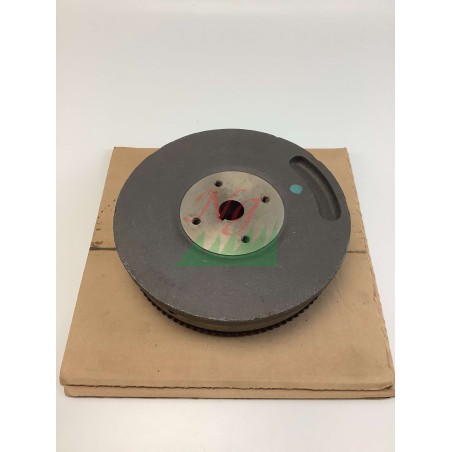 ORIGINAL BRIGGS & STRATTON 842442 Rasenmähermotor-Schwungrad