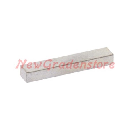 Chiavetta volano compatibile TECUMSEH 310351 29410009 volano pesante | NewgardenParts.com