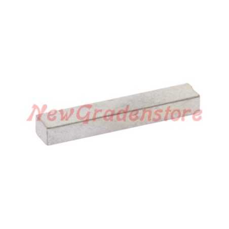 TECUMSEH compatible flywheel spanner 310351 29410009 heavy flywheel | NewgardenParts.com