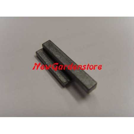 Llave volante motor adaptable TECUMSEH 310352 29410011