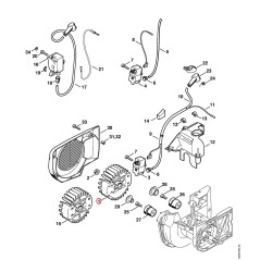Flywheel 42234001201 ORIGINAL STIHL | NewgardenParts.com