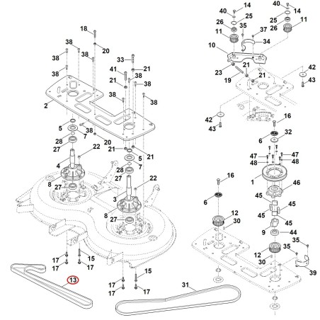 Toothed belt, double-sided 61707640901 ORIGINAL STIHL | NewgardenParts.com