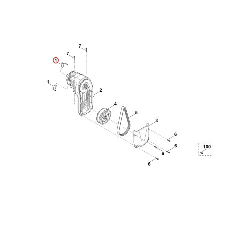 Set spazzole di carbone 62910071085 ORIGINALE STIHL | NewgardenParts.com