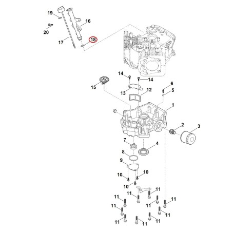 Anillo de junta 00049925509 ORIGINAL STIHL | NewgardenParts.com