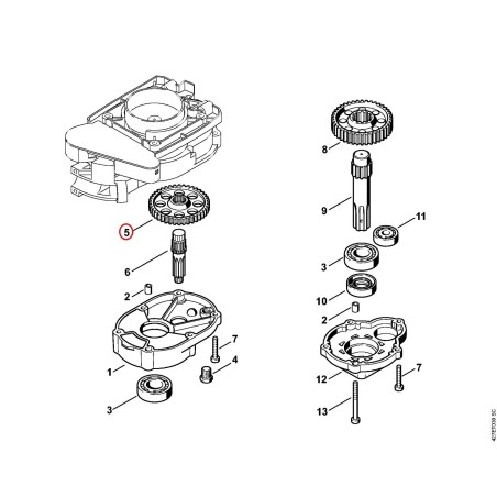 Rueda dentada 43136420101 ORIGINAL STIHL | NewgardenParts.com