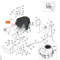 Gasoline engine 61650111823 ORIGINAL STIHL Gasoline engine 61650111823 ORIGINAL STIHL