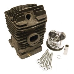 Cylinder and piston diameter 46 mm ORIGINAL STIHL models MS290 11270201217 | NewgardenParts.com