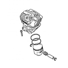 Cylinder and piston diameter 52 mm models MS462 ORIGINAL STIHL 11420201201 | NewgardenParts.com