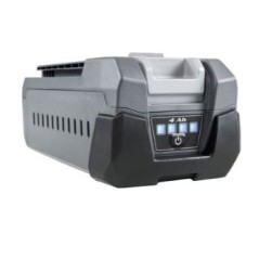 BATTERY 54300002 ORIGINAL Oleo-Mac | NewgardenParts.com