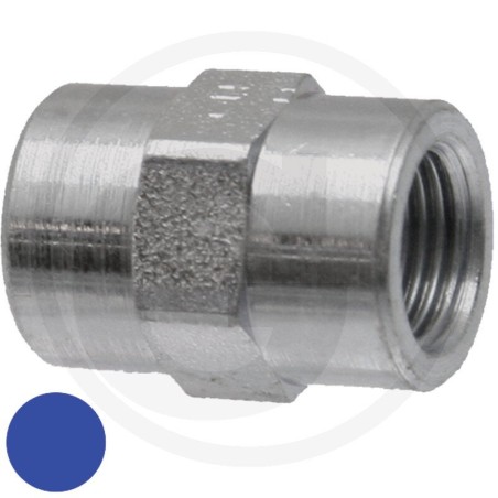 Adatt. dritto 1/2 F-BSP x 1/2 F-BSP 81526389 | NewgardenParts.com